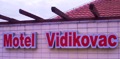 LOGO VIDIK..jpg