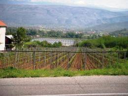 Prodaja Domaće Rakije i Vina Mostar